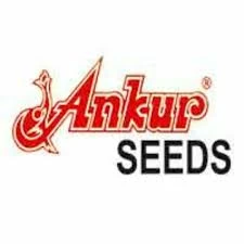 Ankur