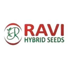 Ravi